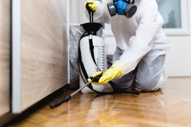 Best Pest Removal Services  in Mount Olive, IL