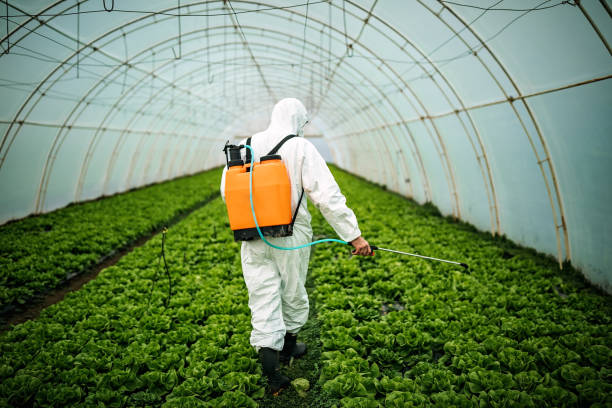 Best Affordable Pest Control Services  in Mount Olive, IL