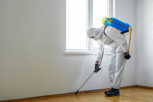 Best Commercial Pest Control Services  in Mount Olive, IL