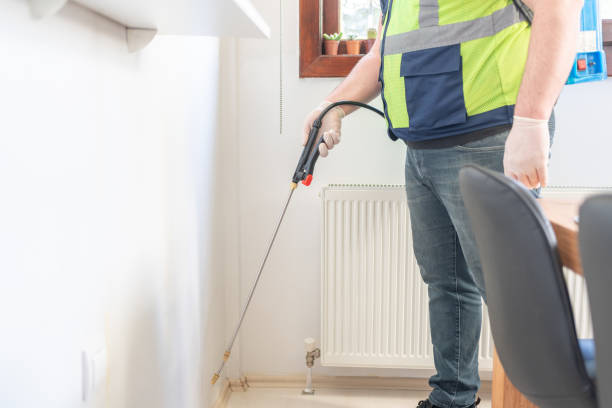 Best Flea Control Services  in Mount Olive, IL