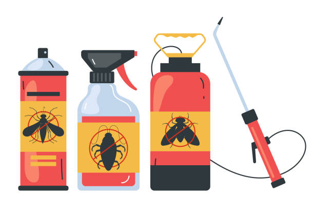 Best Spider Control Near Me  in Mount Olive, IL