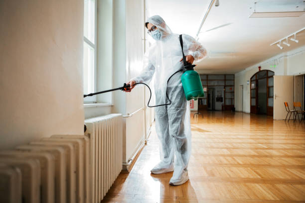 Trusted Mount Olive, IL Pest Control Experts