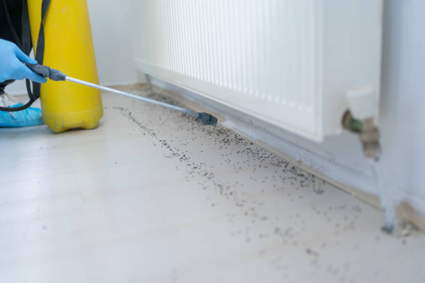 Best Emergency Pest Control  in Mount Olive, IL