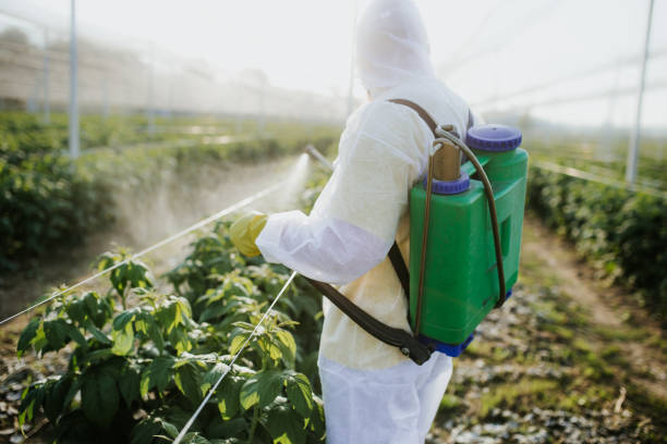 Best Residential Pest Control  in Mount Olive, IL